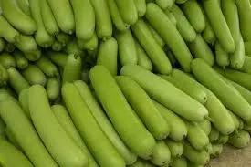 Lauki (Bottle Gourd)
