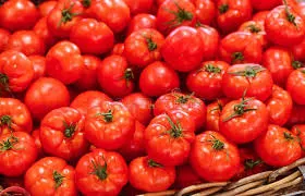 Tomato deshi