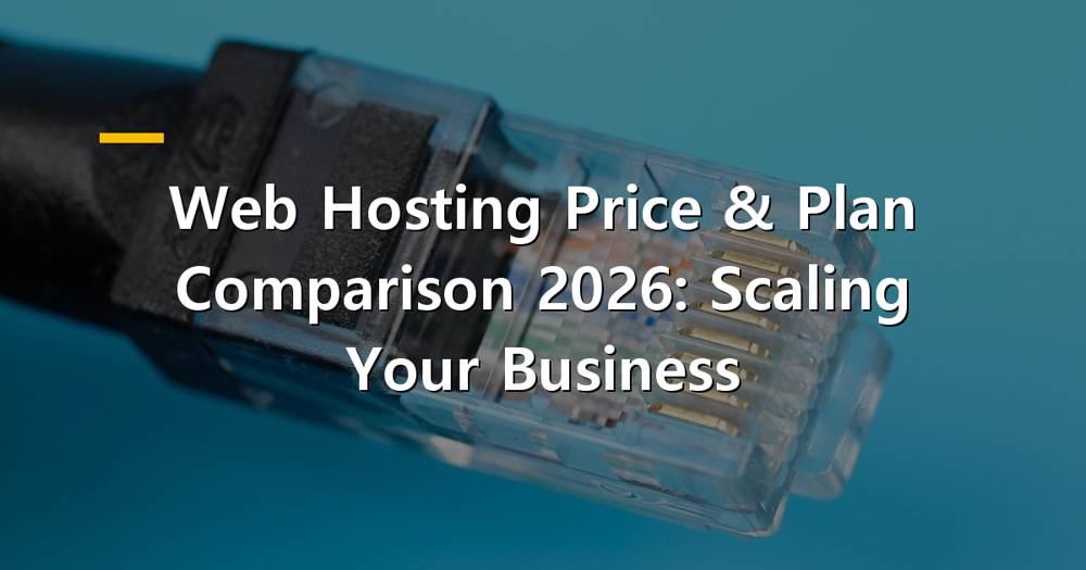 Web hosting servers and data visualization for scaling business