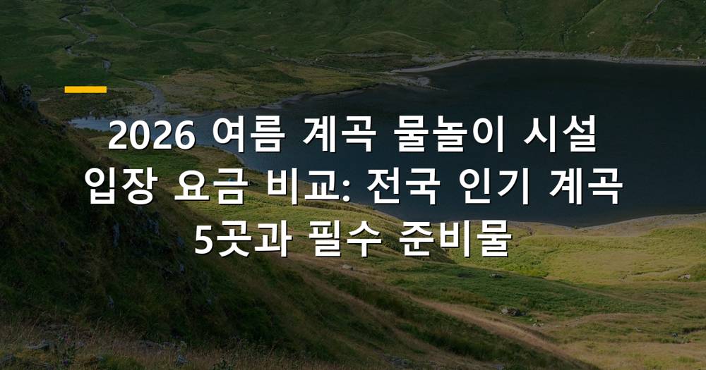 시원한 계곡 물놀이 풍경