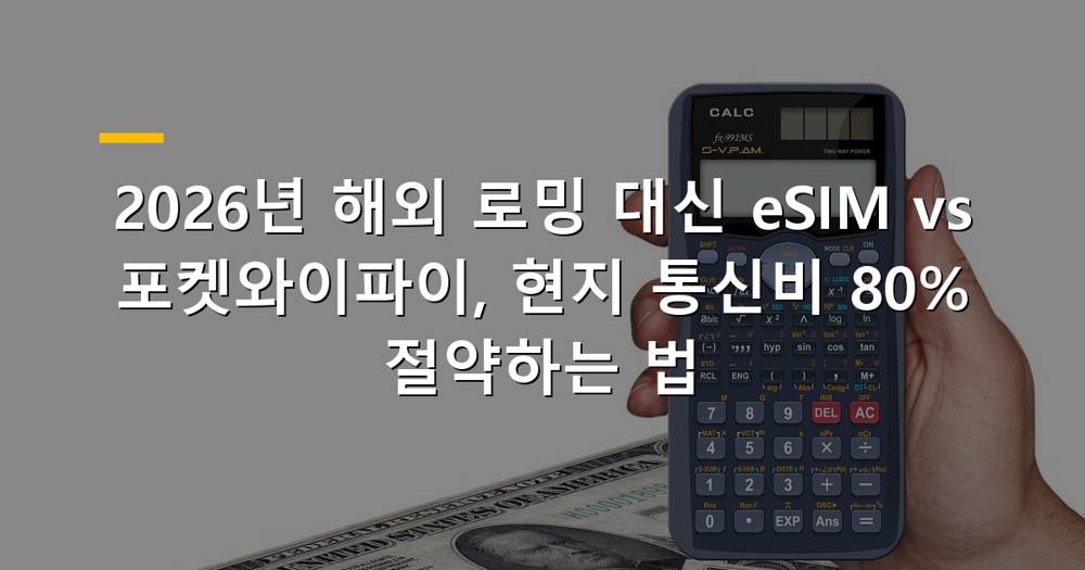 해외 로밍, eSIM, 포켓와이파이 비교 이미지