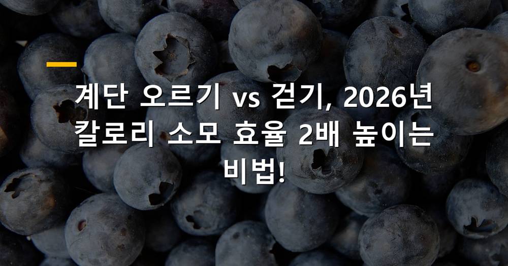 계단 오르기 운동과 걷기 운동 비교