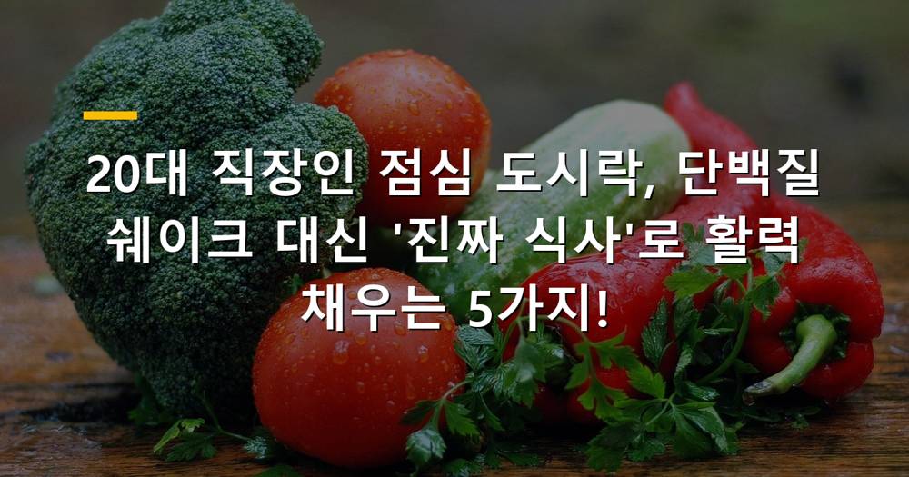 20대 직장인 점심 도시락 건강 식단