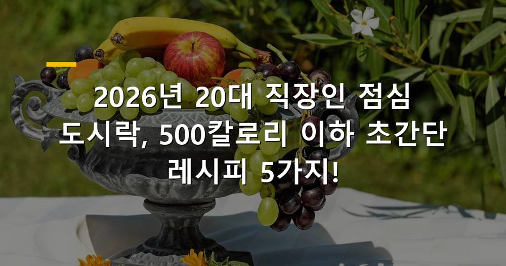 20대 직장인 점심 도시락 500칼로리 이하 초간단 레시피