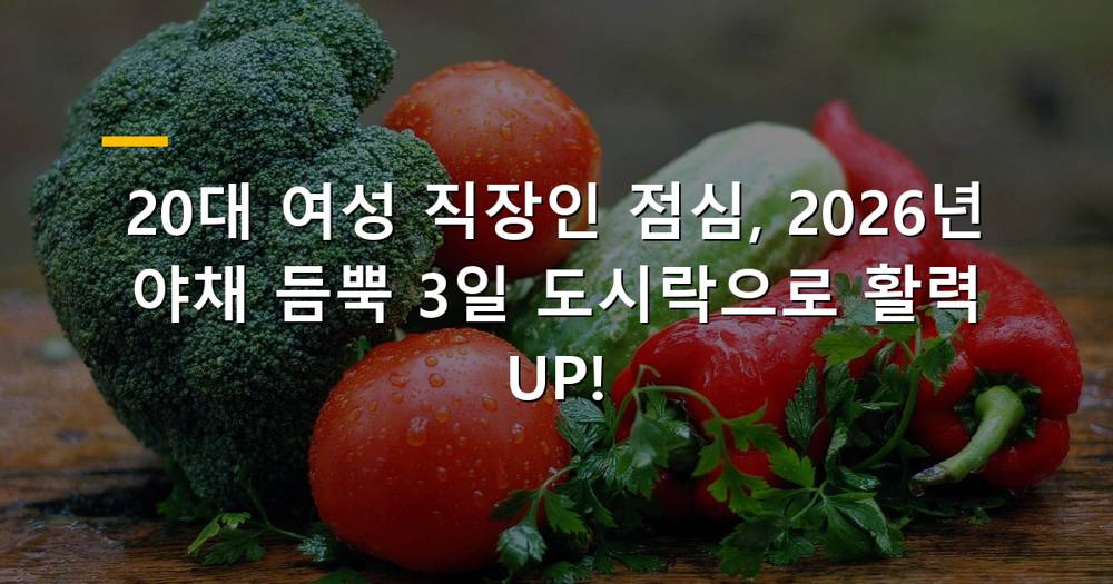 20대 여성 직장인 건강 도시락