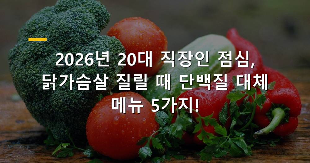 20대 직장인 점심 도시락 닭가슴살 질릴 때 단백질 대체 메뉴