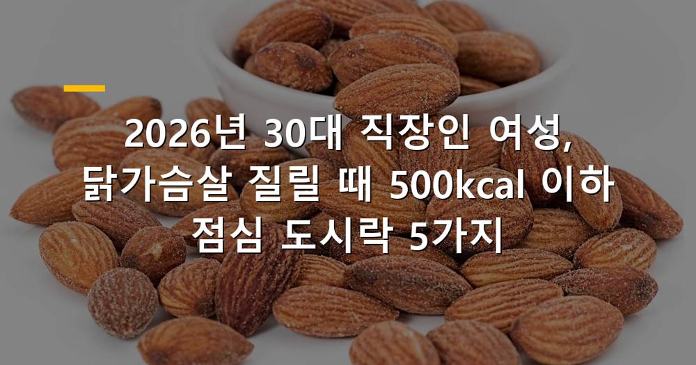 닭가슴살 대체 점심 도시락 이미지