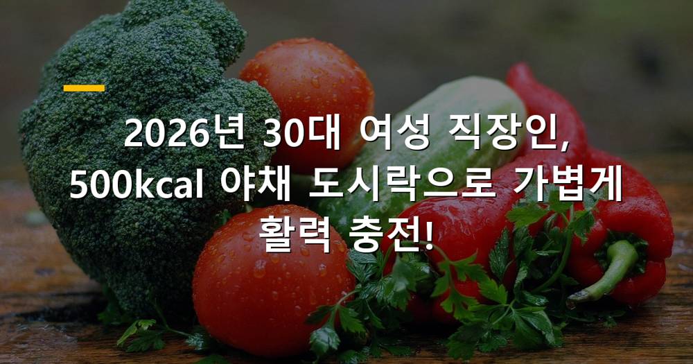 2026년 30대 여성 직장인 건강 점심 도시락