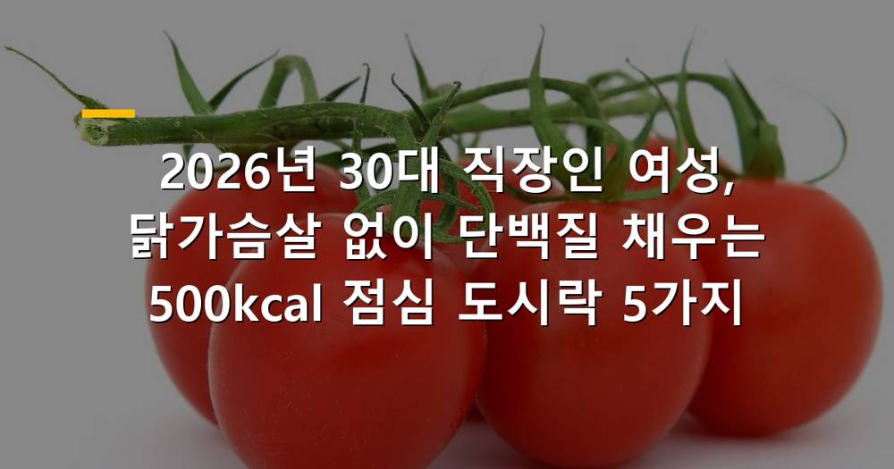 2026년 30대 직장인 여성 점심 도시락 닭가슴살 없이 단백질 채우기
