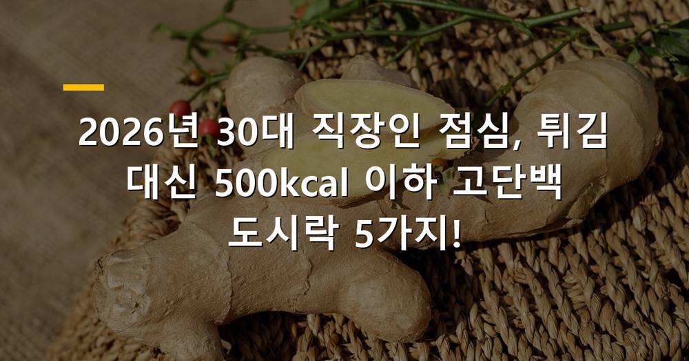 2026년 30대 직장인을 위한 500칼로리 이하 고단백 점심 도시락