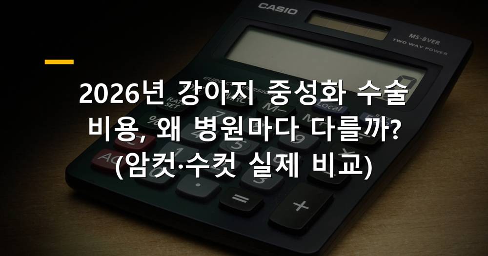 강아지가 편안하게 쉬고 있는 모습