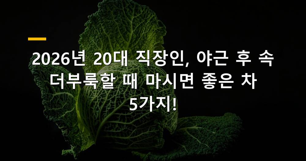 20대 직장인 야근 후 속 더부룩할 때 마시는 차 종류