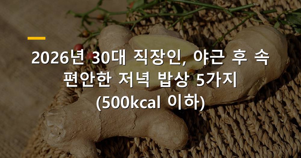야근 후 속 편안한 저녁 밥상
