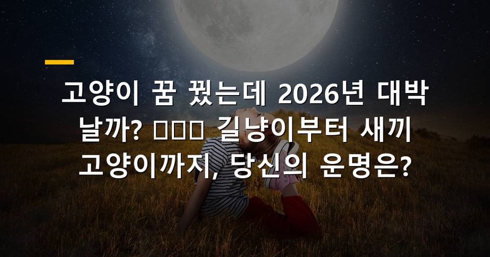 고양이 꿈 해몽 이미지