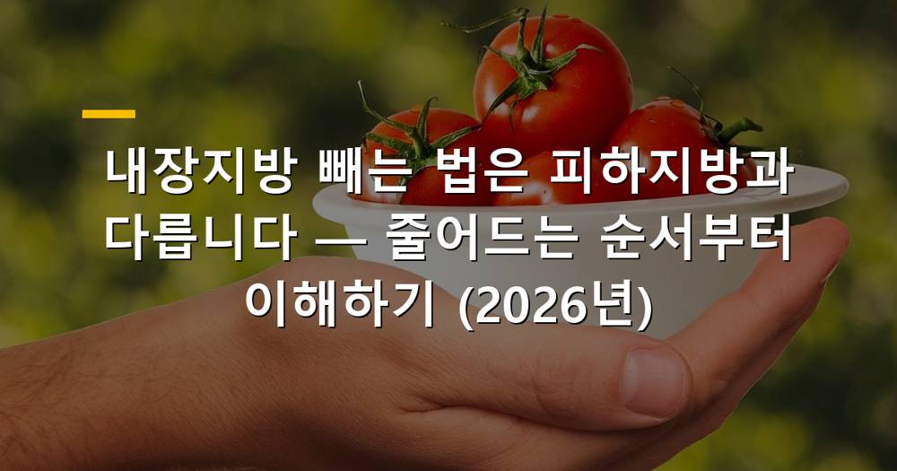 내장지방과 피하지방 비교 이미지