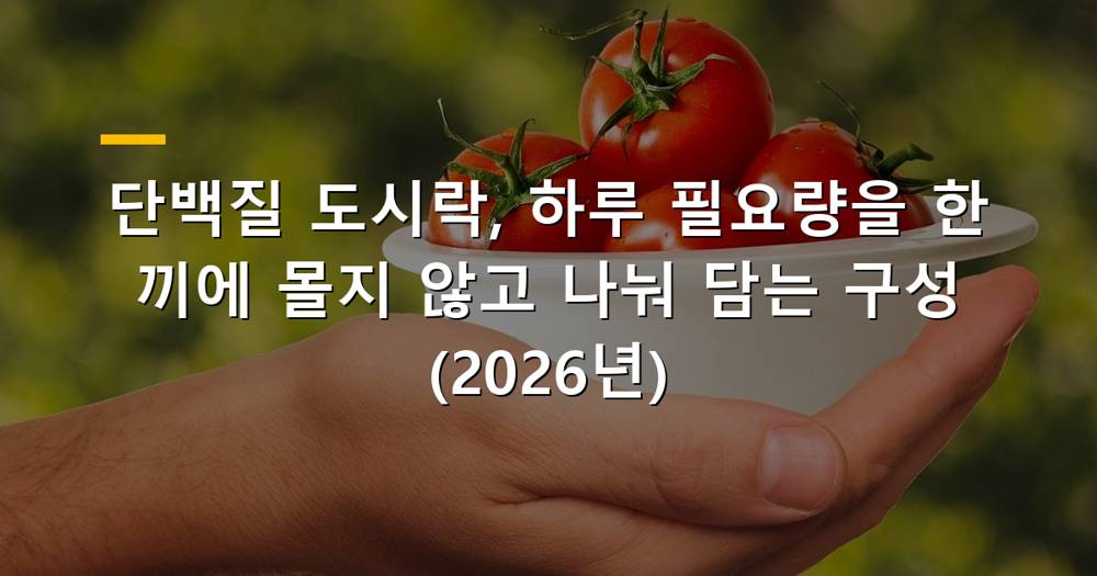 다양한 단백질 식품으로 구성된 건강한 도시락