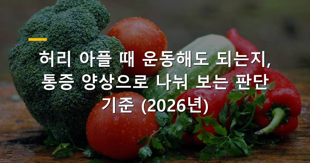 허리 아플 때 운동 여부 판단 기준