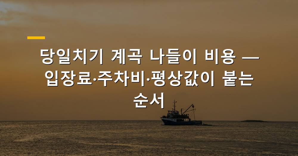 맑고 푸른 계곡 물놀이 풍경