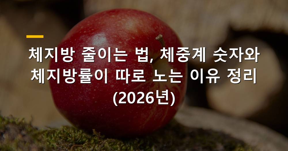 체지방과 체중계 이미지를 함께 보여주는 다이어트 관련 사진