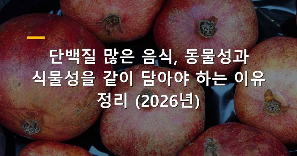 다양한 단백질 많은 음식들, 동물성과 식물성