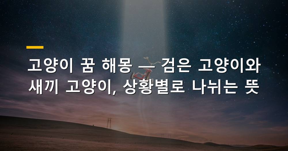 다양한 고양이들이 등장하는 꿈의 해몽을 상징하는 이미지