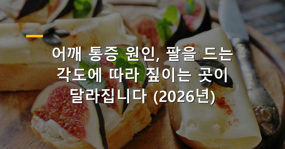 어깨 통증의 다양한 원인을 나타내는 이미지