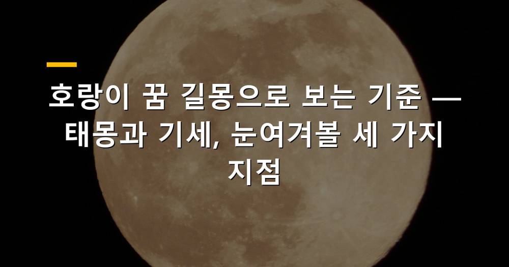 위풍당당한 호랑이 이미지