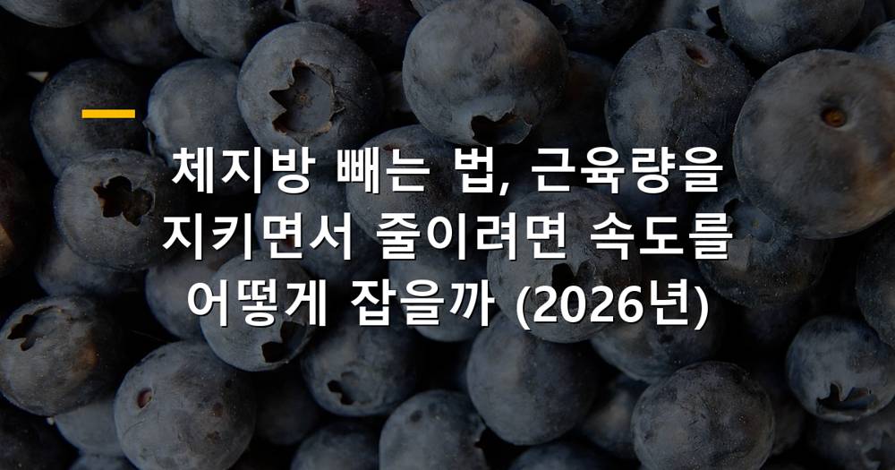 체지방 감량을 위한 건강한 식단과 운동 계획
