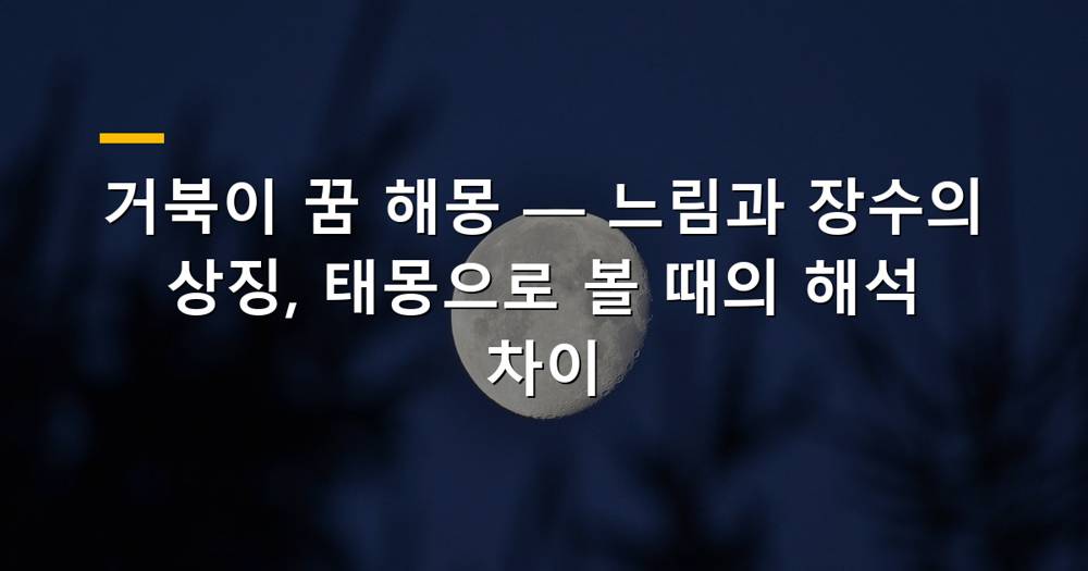 신비로운 바다 거북이가 헤엄치는 모습