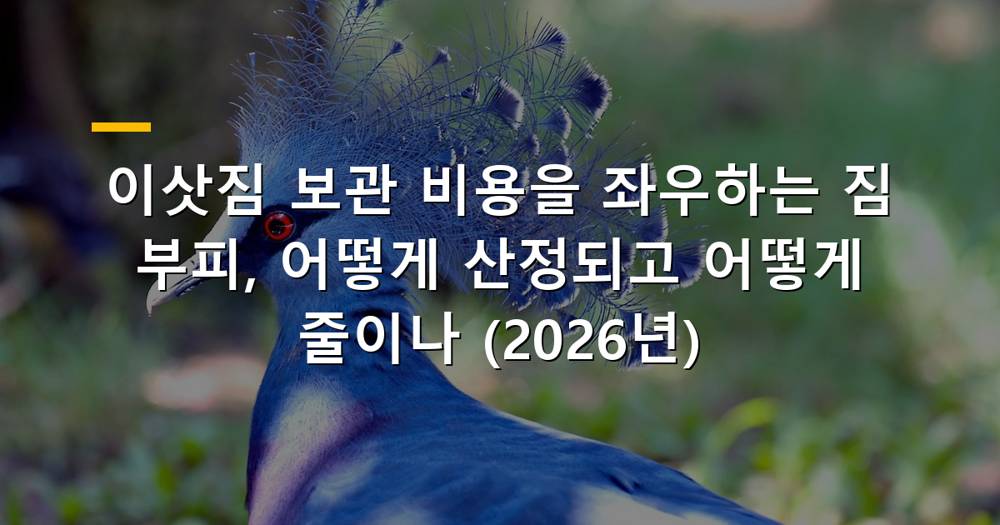 이삿짐 보관 비용과 짐 부피
