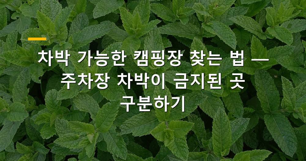 차박 캠핑장 풍경