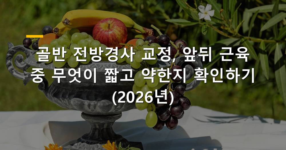 골반 전방경사 교정 운동을 하는 사람의 옆모습 이미지