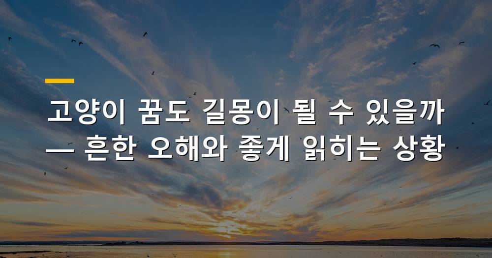 귀여운 고양이와 함께 길몽을 암시하는 이미지