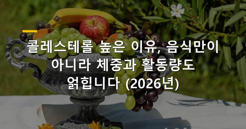 콜레스테롤 높은 이유를 보여주는 건강한 식단과 운동 이미지