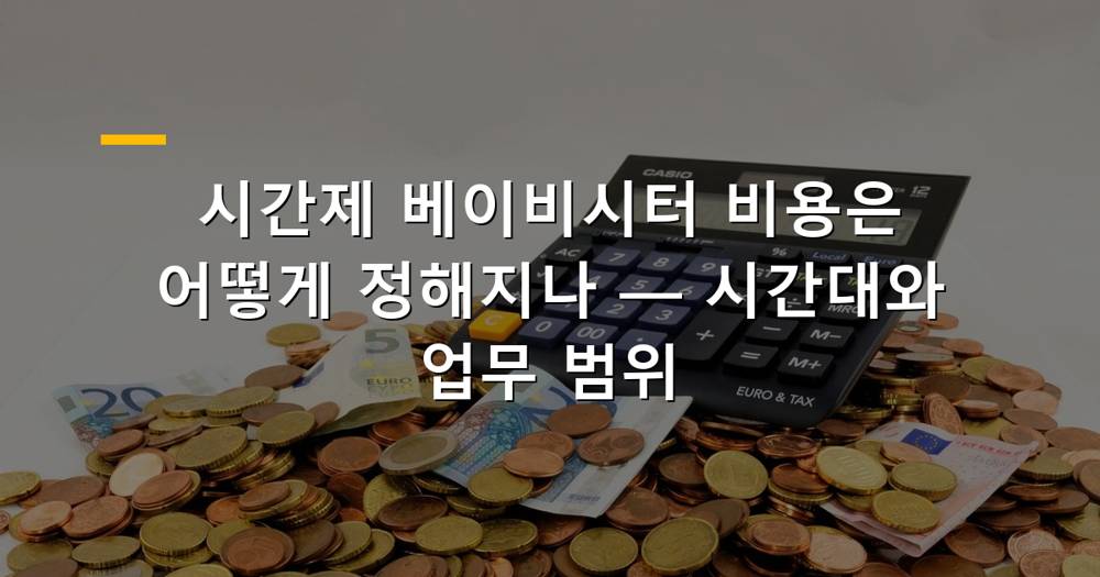 시간제 베이비시터