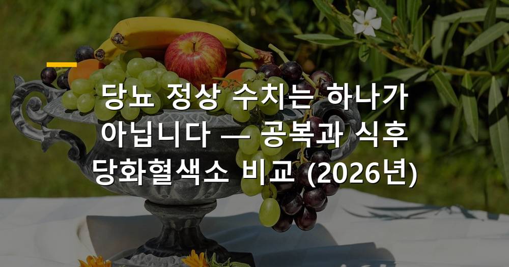 혈당 측정기와 다양한 당뇨 정상 수치 정보