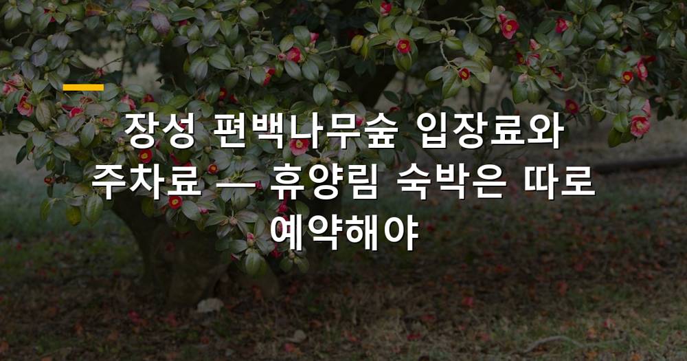 장성 편백나무숲