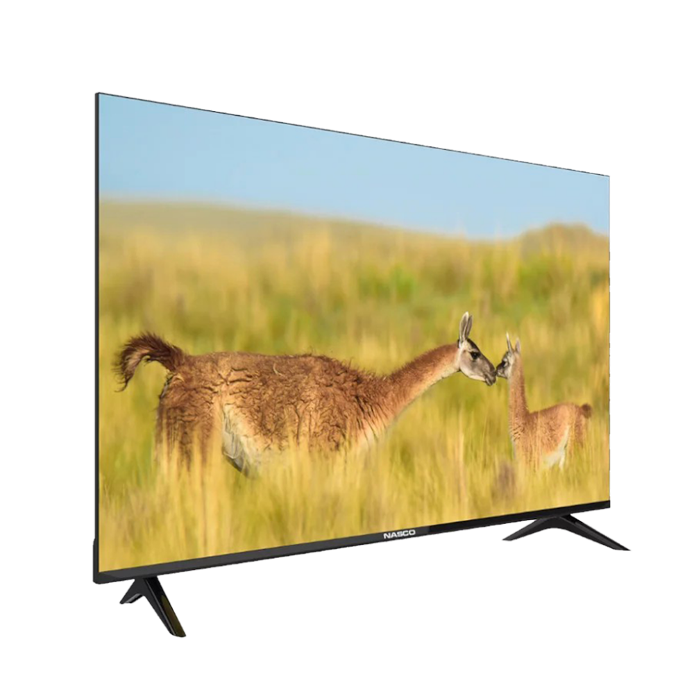 Nasco 50″ LED Digital Satellite Television 4