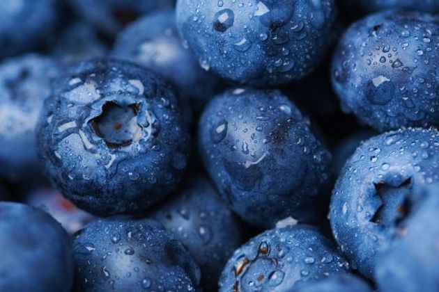 blueberry blueberry