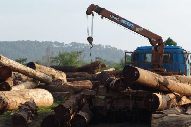 Laos wood products Laos wood products