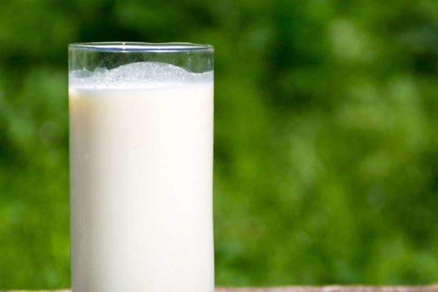 milk milk