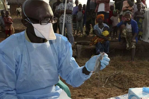 Lassa fever Nigeria Lassa fever Nigeria