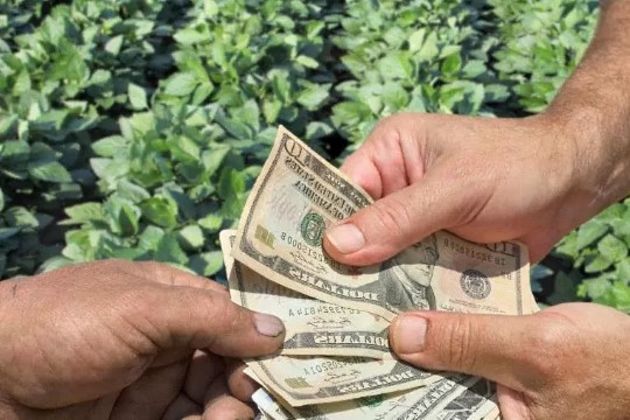 Agricultural subsidies Agricultural subsidies