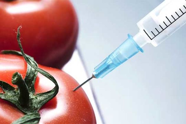 GMO labeling GMO labeling