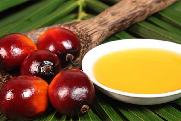 Palm oil Palm oil