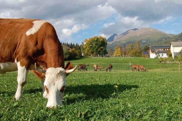 Austrian agriculture Austrian agriculture