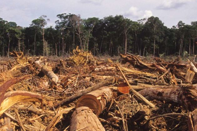 Amazon deforestation Amazon deforestation
