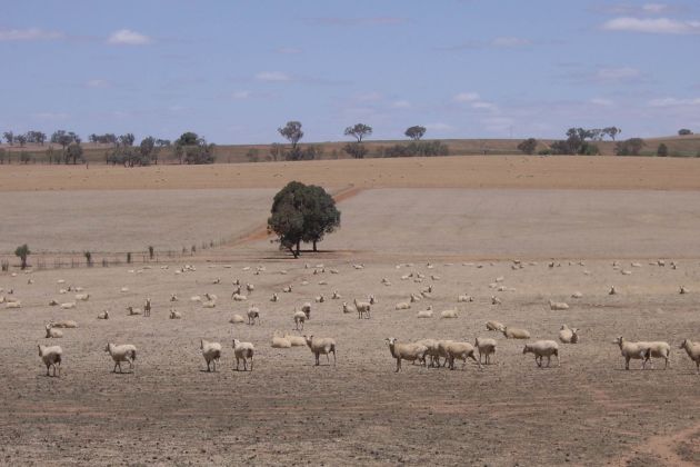 Australia drought Australia drought