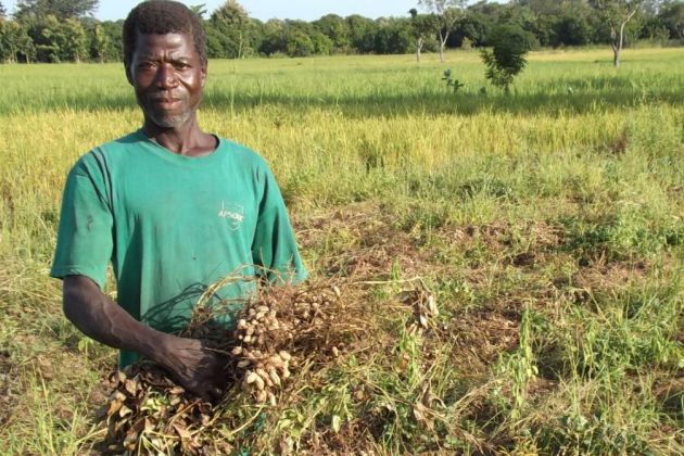 Farmers in Ghana Farmers in Ghana