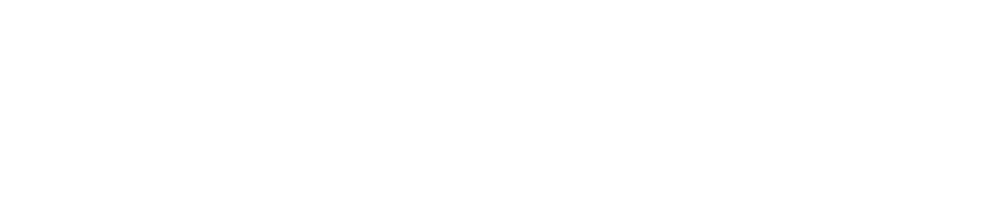 Partners LEV Development